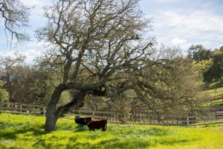 Single Family Residence, 3570 Woodstock rd, Santa Ynez, CA 93460 - 47