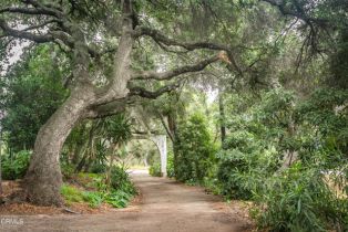 Single Family Residence, 1400 Park dr, Ojai, CA 93023 - 5