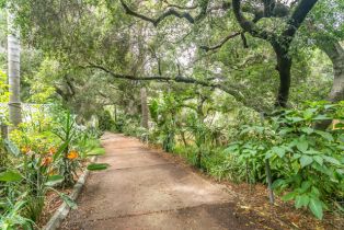 Single Family Residence, 1400 Park dr, Ojai, CA 93023 - 6