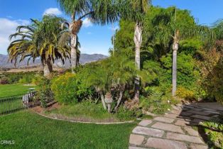 Single Family Residence, 405 Monte Vista dr, Santa Paula, CA 93060 - 47