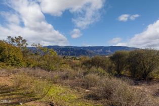 , 380 Valley View rd, Ojai, CA 93023 - 12