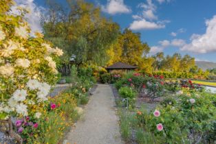 Single Family Residence, 4274 Thacher rd, Ojai, CA 93023 - 27