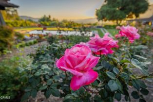 Single Family Residence, 4274 Thacher rd, Ojai, CA 93023 - 39