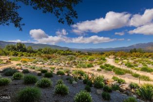 Single Family Residence, 4274 Thacher rd, Ojai, CA 93023 - 51