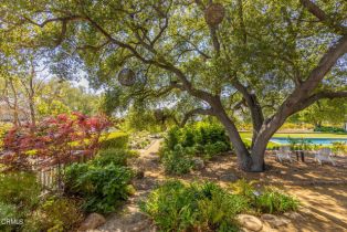 Single Family Residence, 4274 Thacher rd, Ojai, CA 93023 - 59