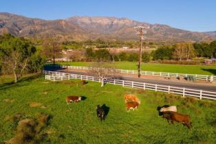 Single Family Residence, 12055 Sulphur Mountain rd, Ojai, CA 93023 - 59