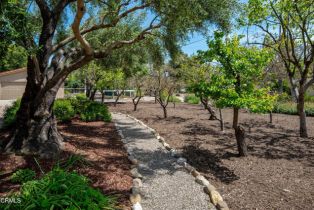 Single Family Residence, 1729 Cottonwood ln, Solvang, CA 93463 - 23