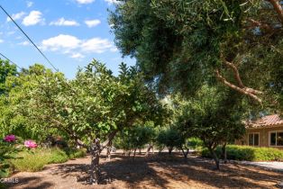 Single Family Residence, 1729 Cottonwood ln, Solvang, CA 93463 - 24