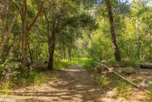 Single Family Residence, 2992 Matilija canyon road rd, Ojai, CA 93023 - 8