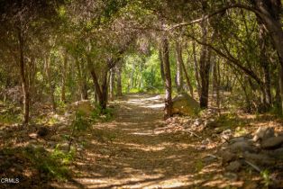 Single Family Residence, 2992 Matilija canyon road RD, Ojai, CA  Ojai, CA 93023