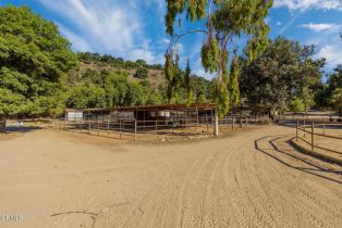 Single Family Residence, 10484 Creek rd, Oak View, CA 93022 - 34