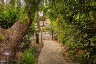 Single Family Residence, 741 Saddle ln, Ojai, CA 93023 - 34