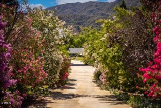 Single Family Residence, 741 Saddle ln, Ojai, CA 93023 - 4