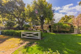 Single Family Residence, 708 Cuyama rd, Ojai, CA 93023 - 37