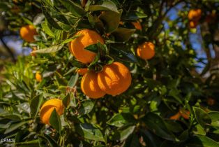 Single Family Residence, 708 Cuyama rd, Ojai, CA 93023 - 41