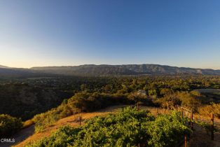 Single Family Residence, 1207 Signal st, Ojai, CA 93023 - 11