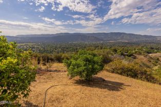 Single Family Residence, 1207 Signal st, Ojai, CA 93023 - 22