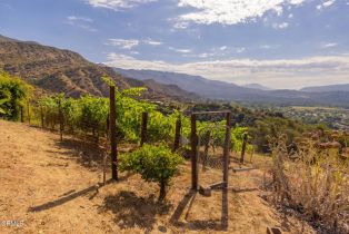 Single Family Residence, 1207 Signal st, Ojai, CA 93023 - 23