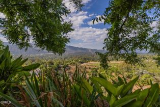 Single Family Residence, 1207 Signal st, Ojai, CA 93023 - 29