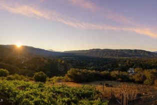 Single Family Residence, 1207 Signal st, Ojai, CA 93023 - 3