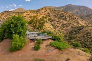 Single Family Residence, 1207 Signal st, Ojai, CA 93023 - 7