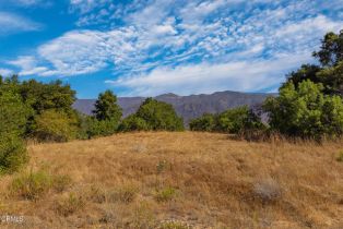 , 10331 Sulphur Mountain rd, Ojai, CA 93023 - 10