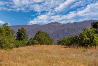 , 10331 Sulphur Mountain rd, Ojai, CA 93023 - 11