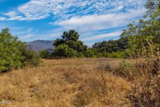 , 10331 Sulphur Mountain rd, Ojai, CA 93023 - 14