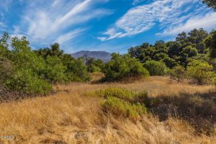 , 10331 Sulphur Mountain rd, Ojai, CA 93023 - 19