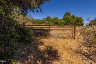 , 10331 Sulphur Mountain rd, Ojai, CA 93023 - 20