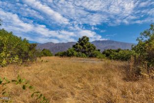 , 10331 Sulphur Mountain rd, Ojai, CA 93023 - 9