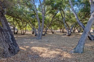 , 2125 McNell rd, Ojai, CA 93023 - 3