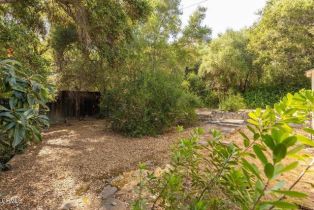 Single Family Residence, 210 Santa Ana st, Ojai, CA 93023 - 19