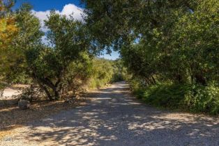 Single Family Residence, 210 Santa Ana st, Ojai, CA 93023 - 24