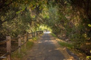 Single Family Residence, 210 Santa Ana st, Ojai, CA 93023 - 25