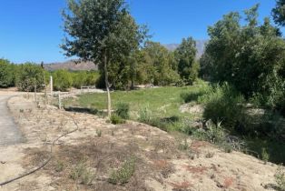 Single Family Residence, 19596 Telegraph rd, Santa Paula, CA 93060 - 30