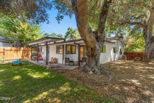 Single Family Residence, 385 Burnham rd, Oak View, CA 93022 - 21