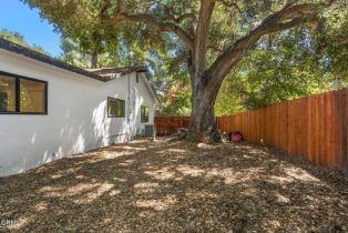 Single Family Residence, 385 Burnham rd, Oak View, CA 93022 - 22