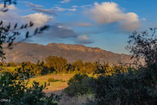 Single Family Residence, 11966 Ventura ave, Ojai, CA 93023 - 28