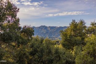 Single Family Residence, 11966 Ventura ave, Ojai, CA 93023 - 29