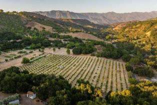 Single Family Residence, 10829 10883 Oak Knoll rd, Ojai, CA 93023 - 7