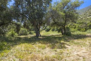 , 0 Maricopa hwy, Ojai, CA 93023 - 2