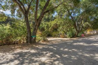 Single Family Residence, 3280 Matilija Canyon rd, Ojai, CA 93023 - 13