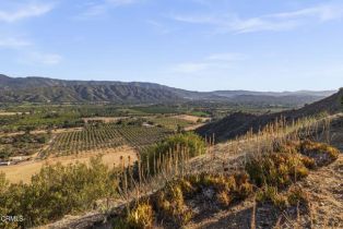 Single Family Residence, 1805 Ladera rd, Ojai, CA 93023 - 18