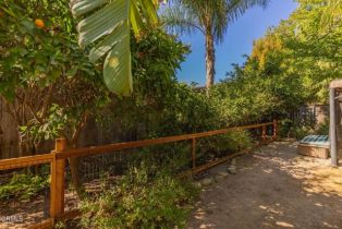 Single Family Residence, 345 Alvarado st, Ojai, CA 93023 - 27