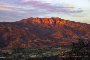 Single Family Residence, 303 Lark Ellen ave, Ojai, CA 93023 - 36