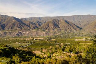 Single Family Residence, 303 Lark Ellen ave, Ojai, CA 93023 - 37