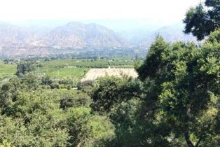 Single Family Residence, 303 Lark Ellen ave, Ojai, CA 93023 - 38