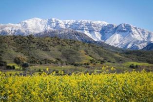 Single Family Residence, 303 Lark Ellen ave, Ojai, CA 93023 - 39