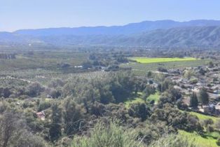 Single Family Residence, 303 Lark Ellen ave, Ojai, CA 93023 - 44